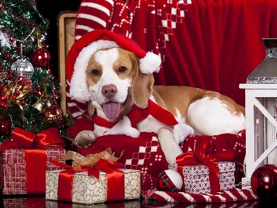 С Новым 2018 годом!!! С Новым 2018 годом!!!